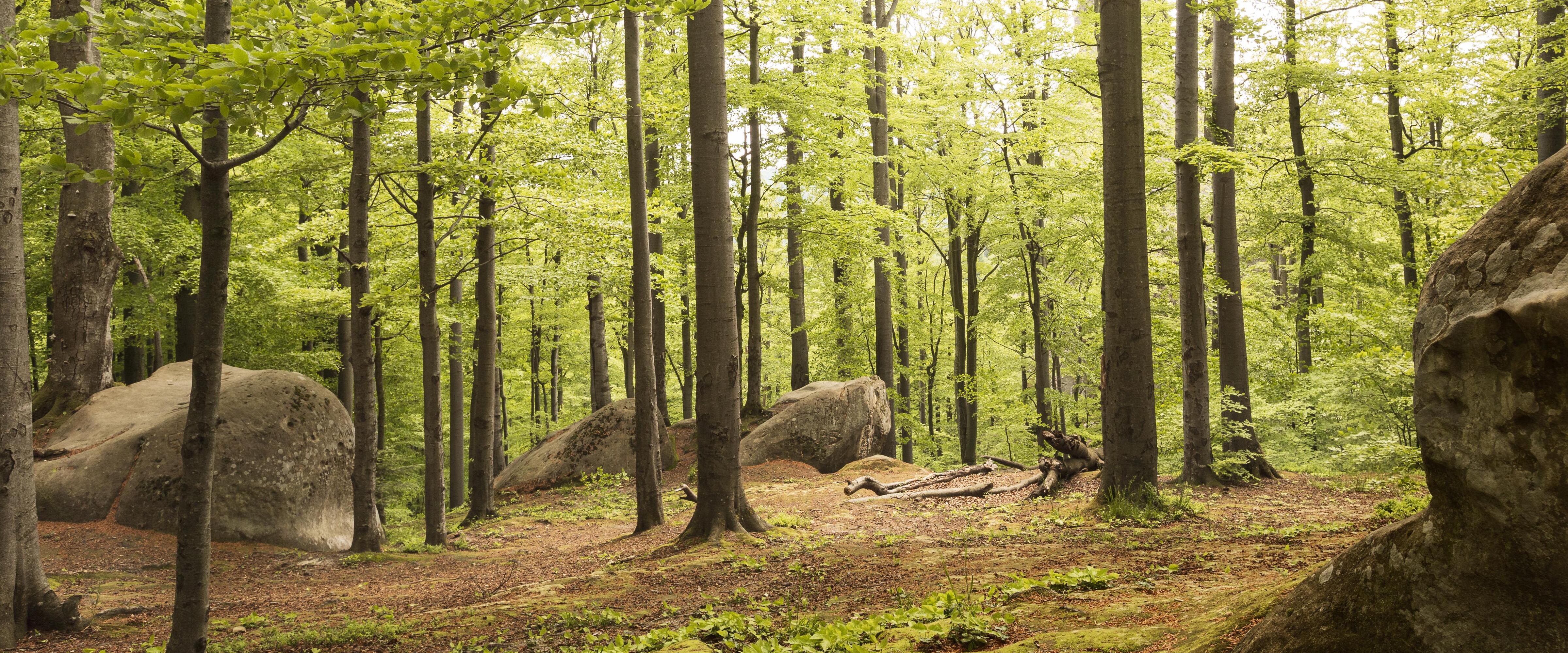 jihotv 메인 비주얼